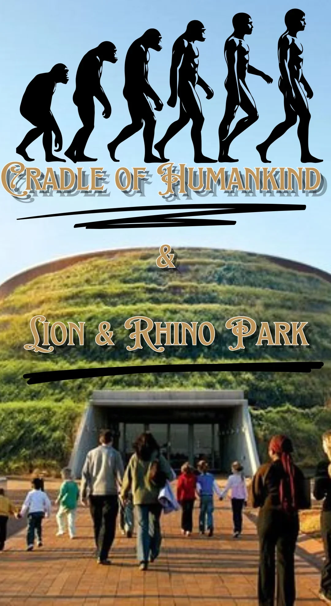 Rhino and Lion Park Safari and Cradle of Humankind Guided Tour