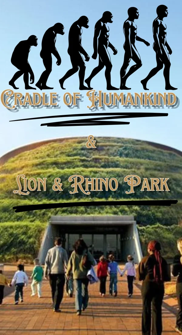 Rhino and Lion Park Safari and Cradle of Humankind Guided Tour