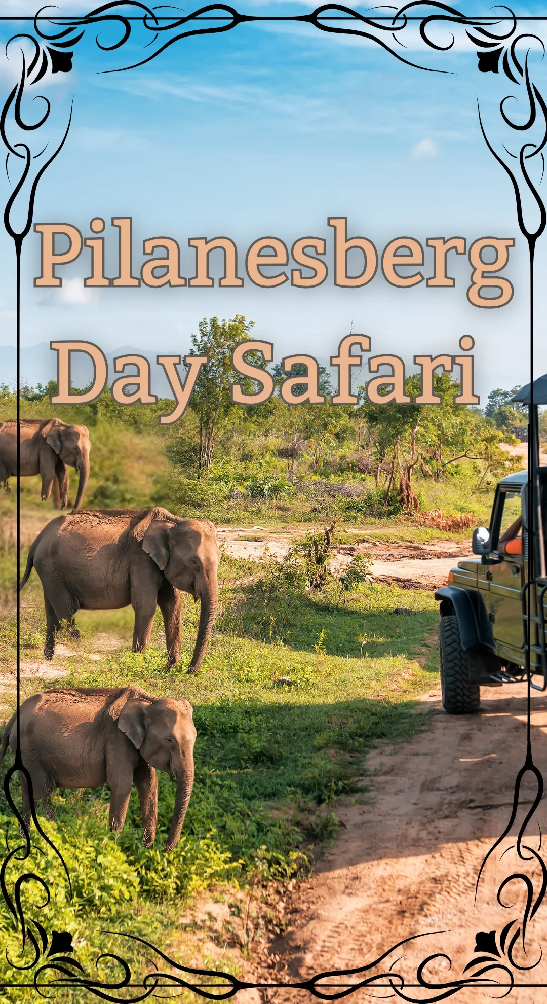 Pilanesberg Safari