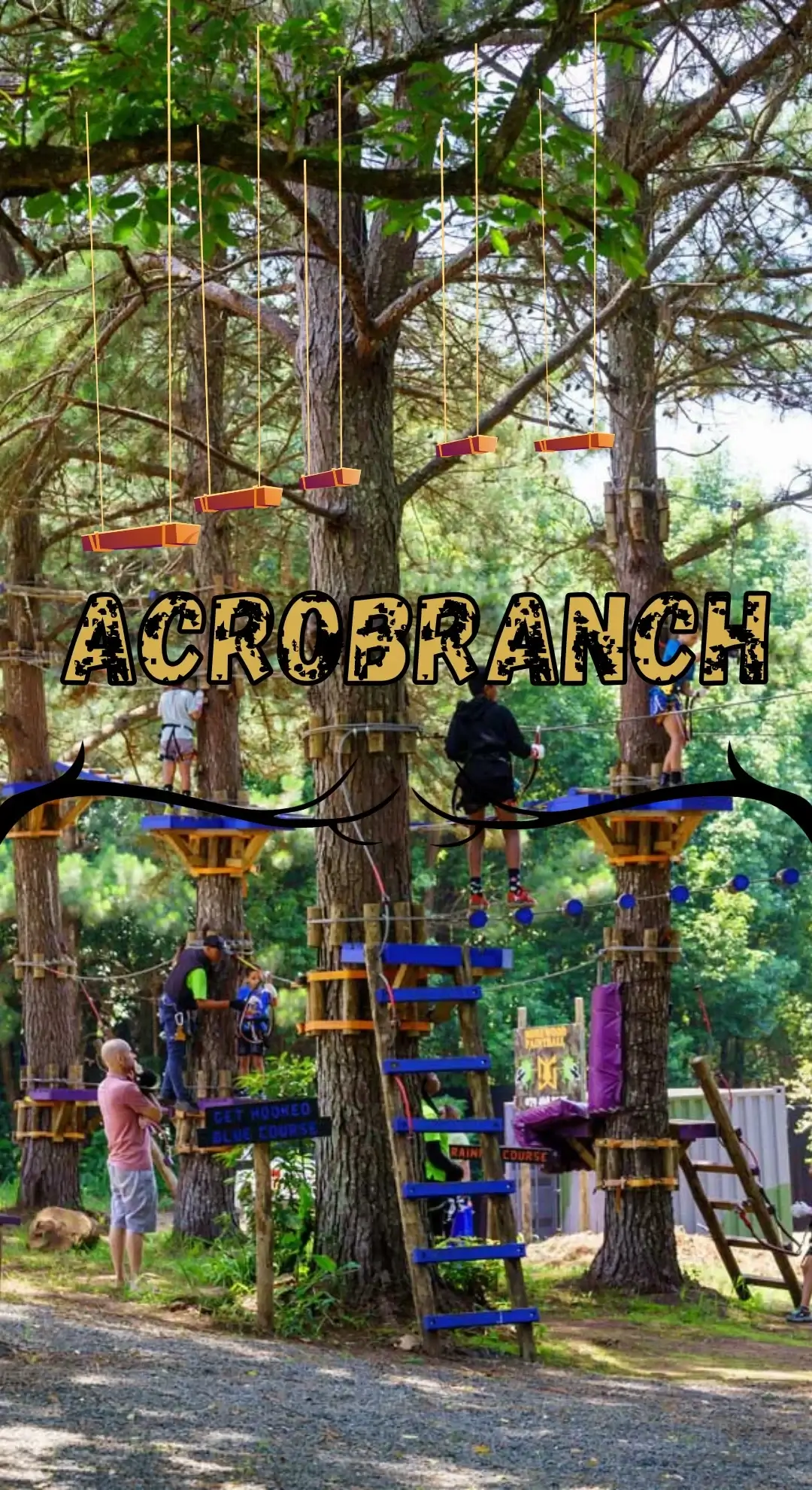 Acro-Twigs adventure for kids