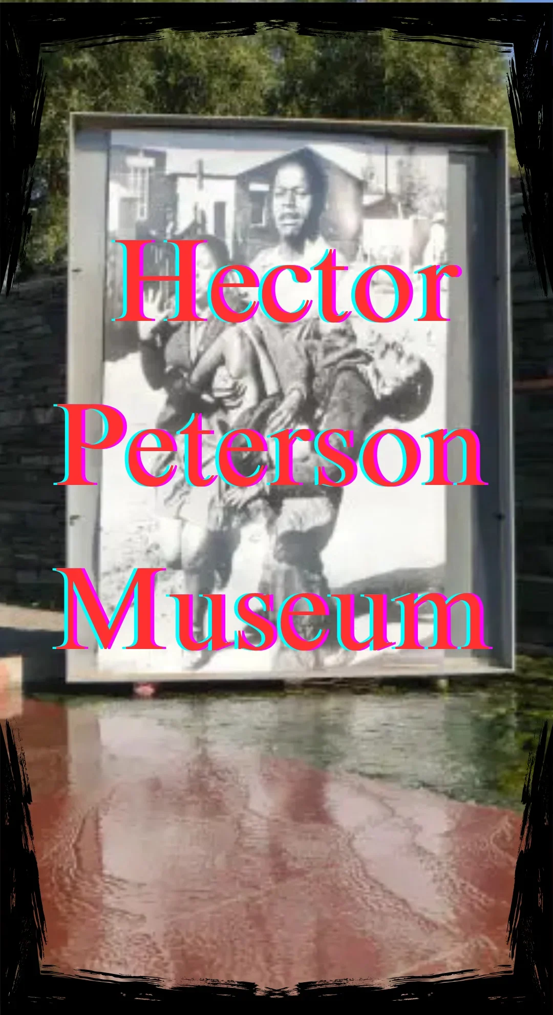 Hector Peterson Museum School Excursion