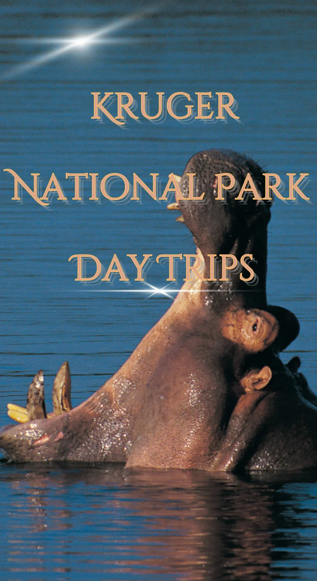 Kruger National Park Day Trips