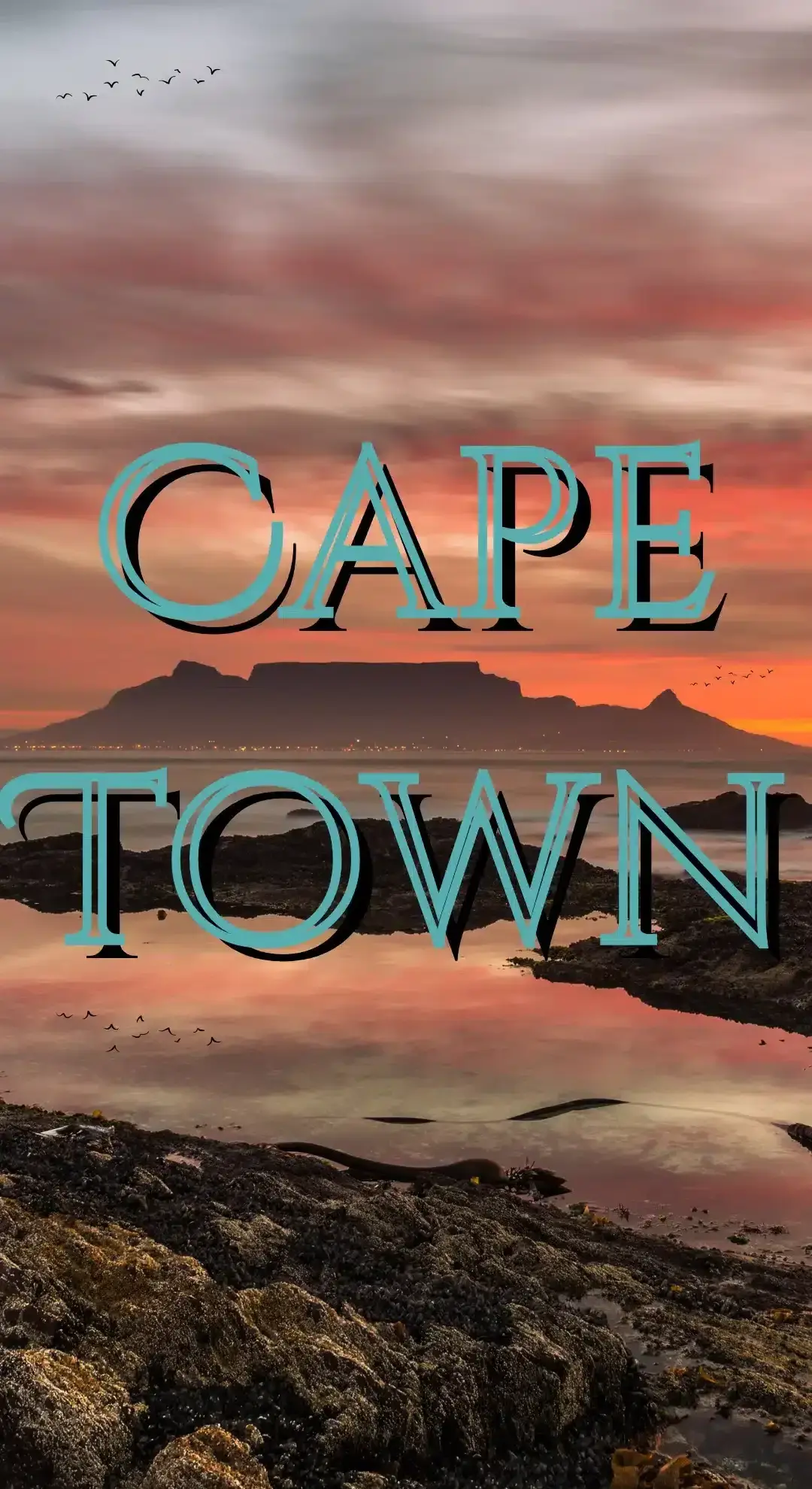 Cape Town Family Holiday