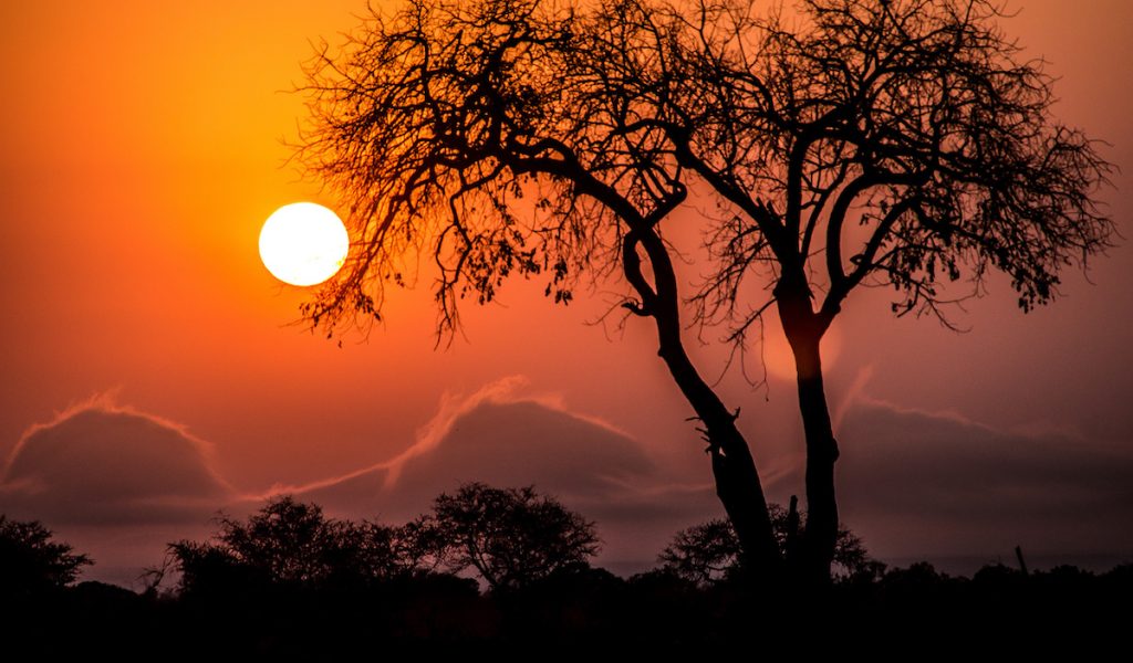 Kruger Sunset