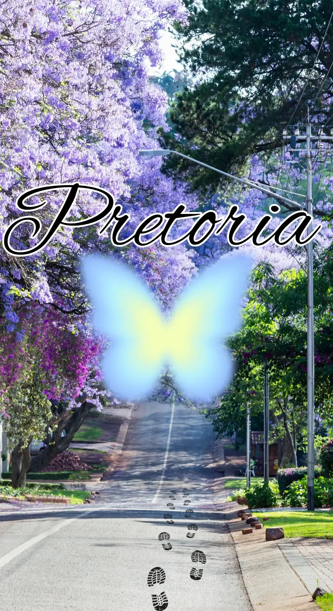 Pretoria Holiday