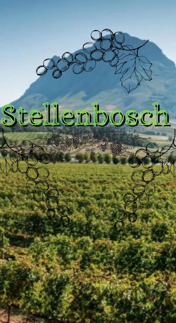 Stellenbosch Holiday