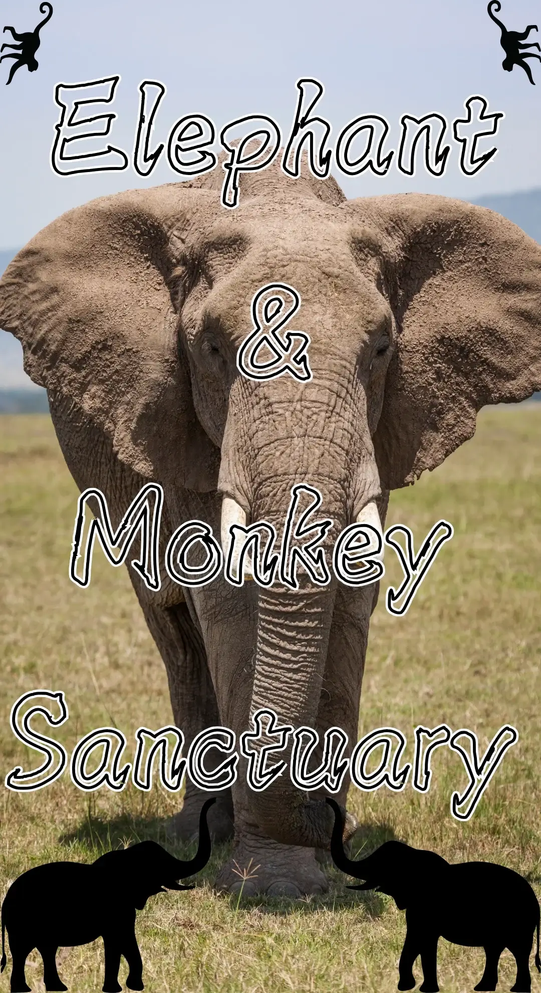 Elephant Sanctuary