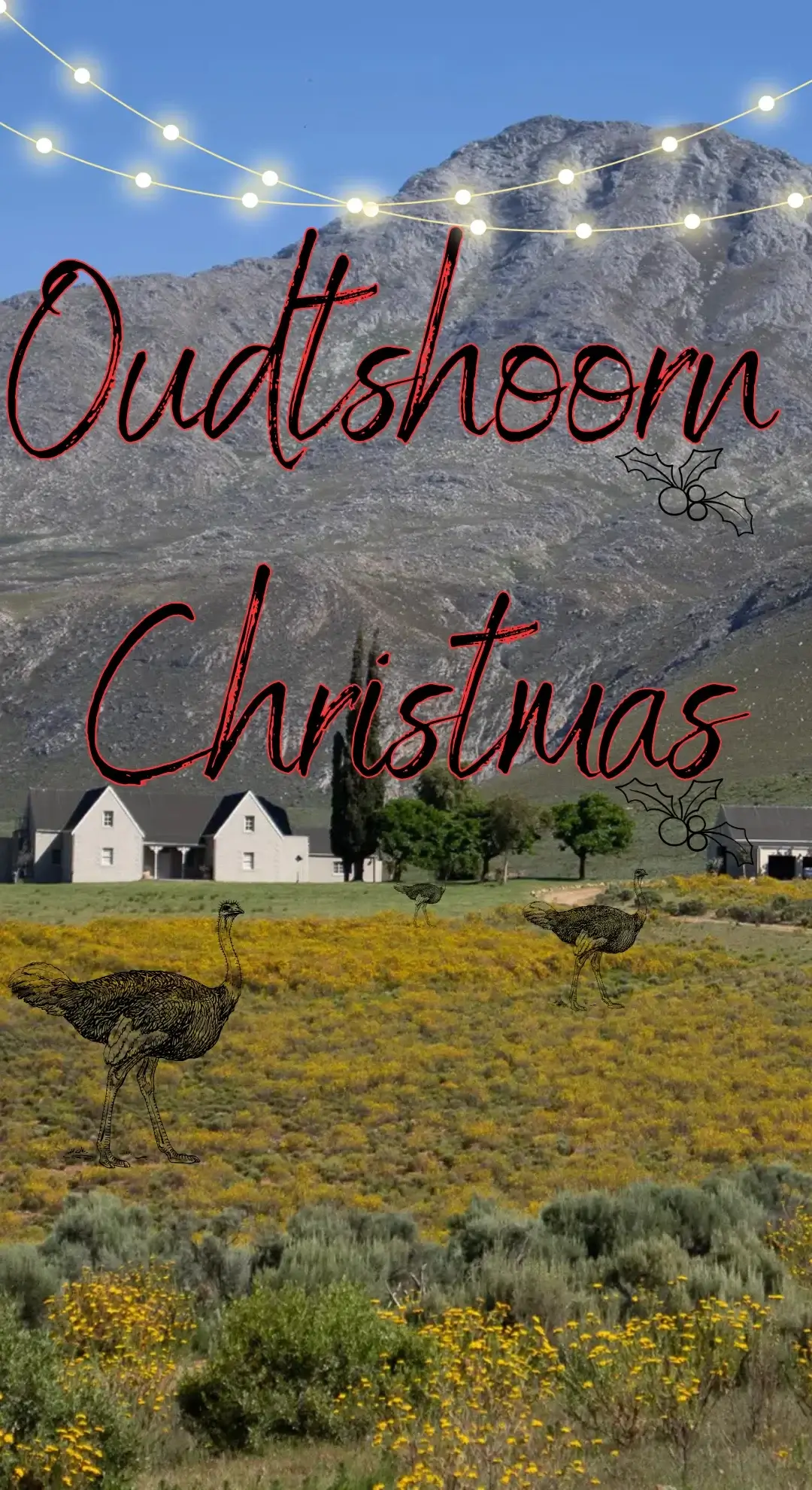 Christmas in Oudtshoorn