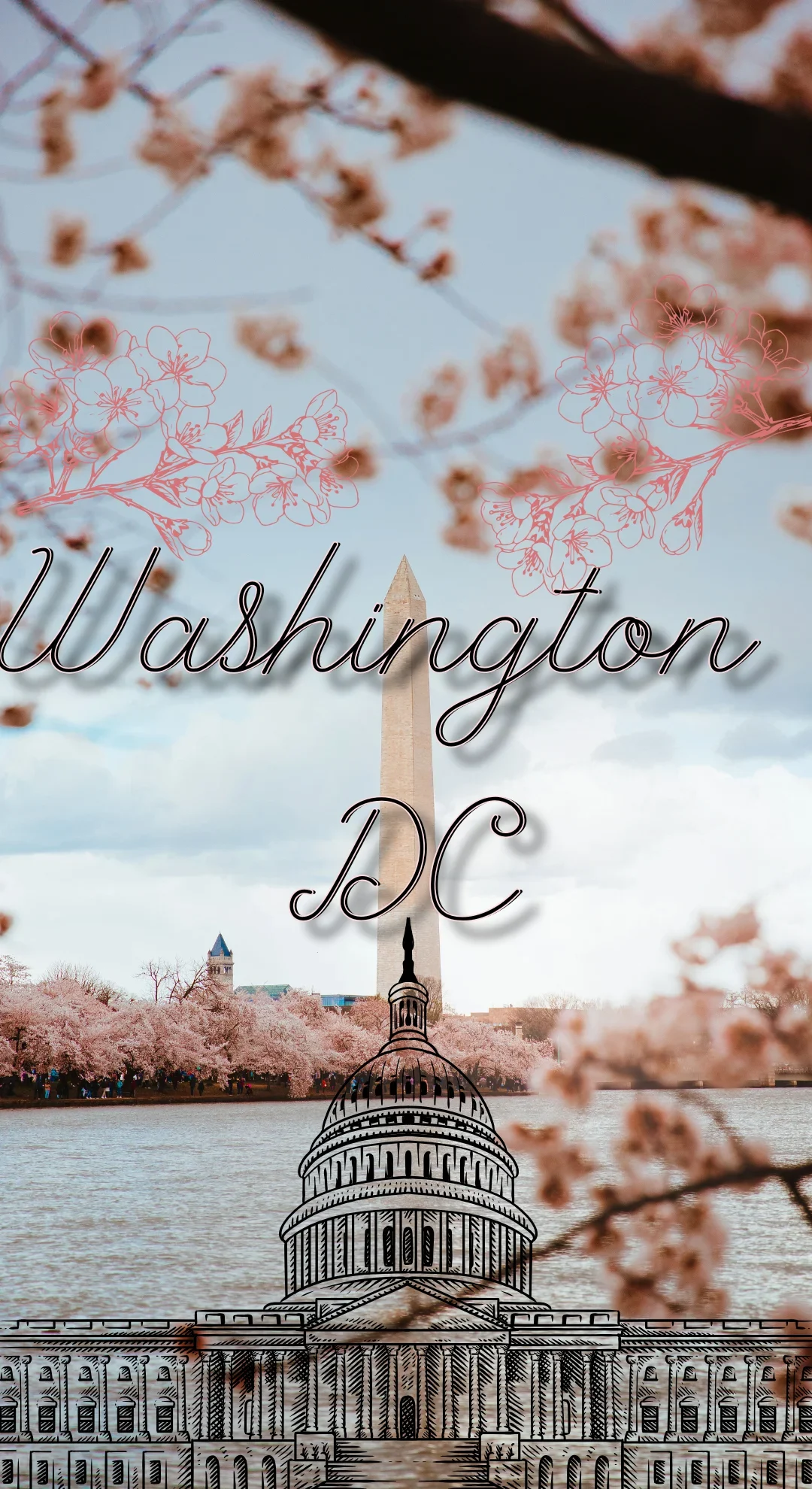 explore washington dc